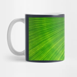 Palm frond Mug